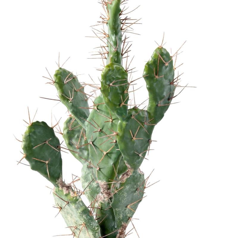 Cactus Artificiel