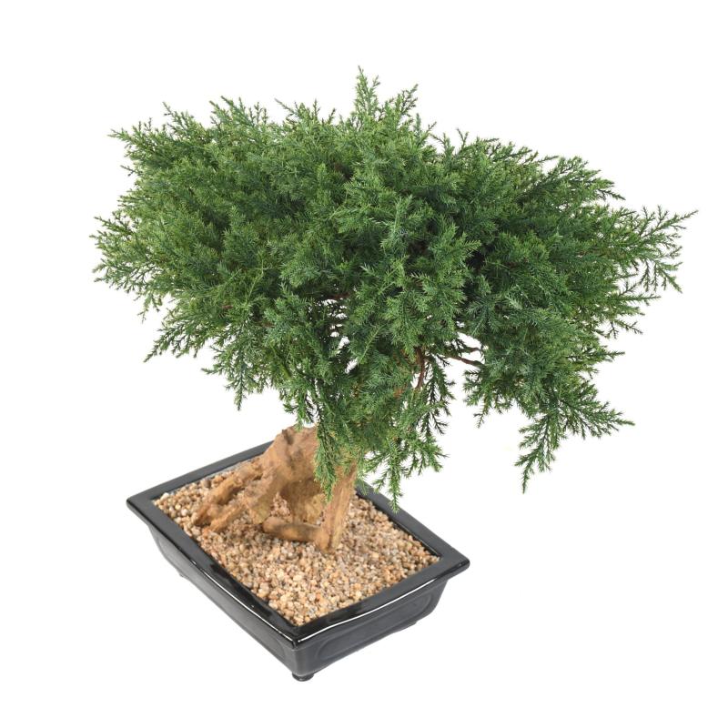 Bonsai Juniperus Artificiel en Coupe