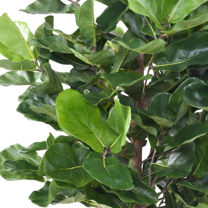 Lyrata Artificiel Royal