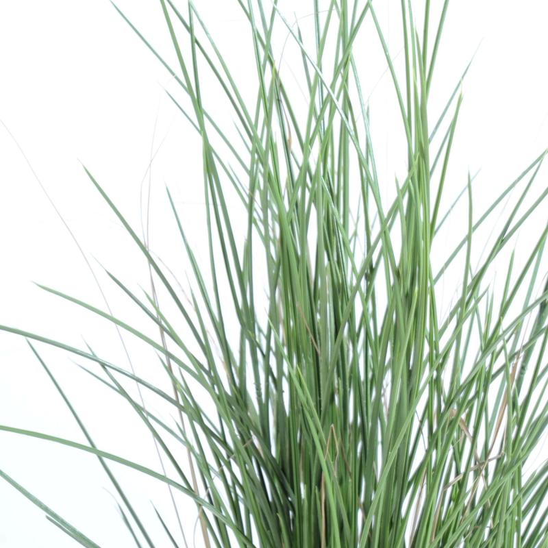 Herbe Artificielle Honey Grass