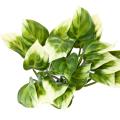 Philo Artificiel Bush