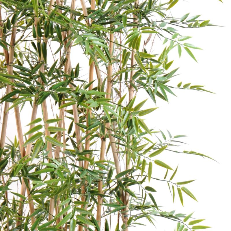 Bambou Artificiel Japanese PLAST Haie UV