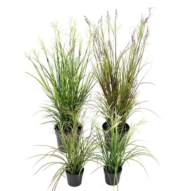 Acorus Artificiel Fleuri Pot