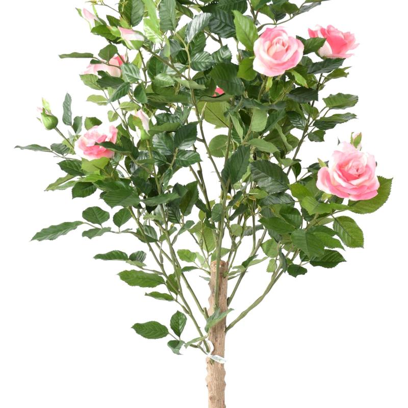 Rosier Royal Artificiel