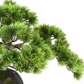 Bonsai Artificiel Pin 37
