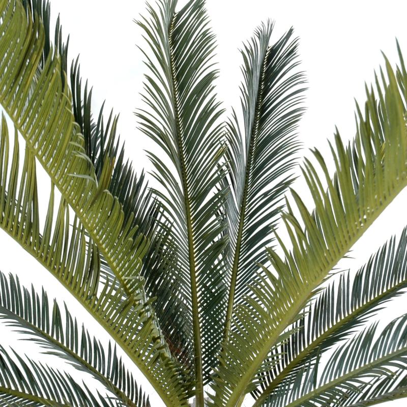 Cycas Artificiel Geant *15