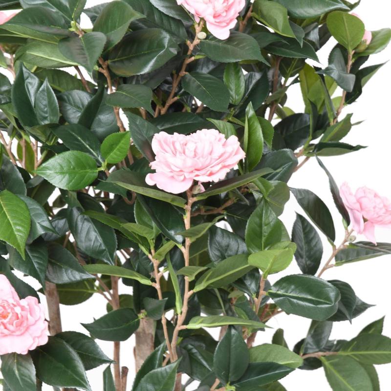 Camelia Artificiel Japonica Double NEW