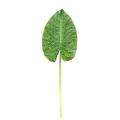 Feuille Artificielle Alocasia Rond