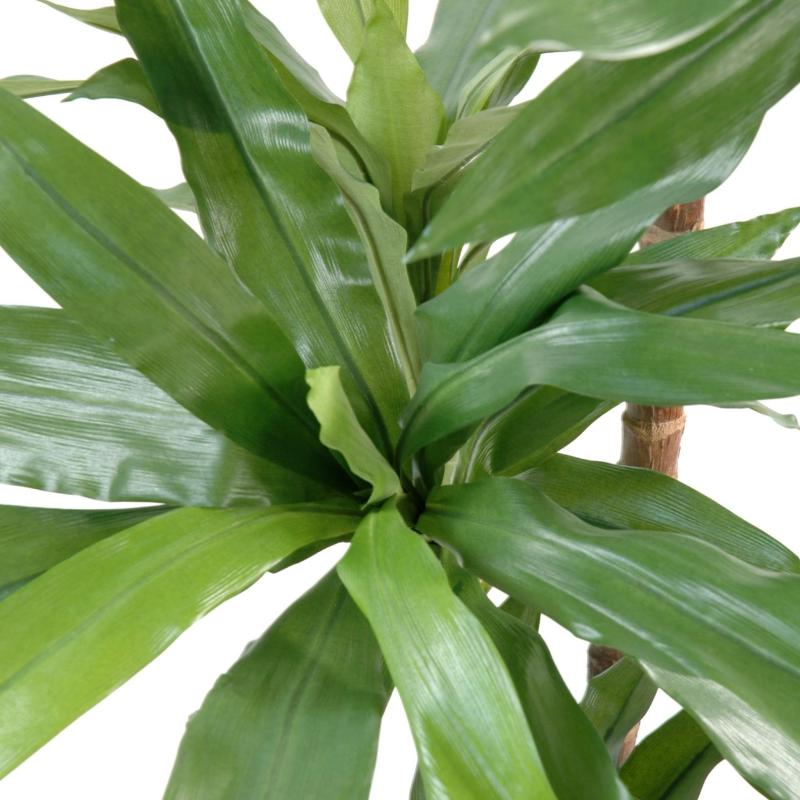 Dracaena Artificiel Fragrans Janet Craig