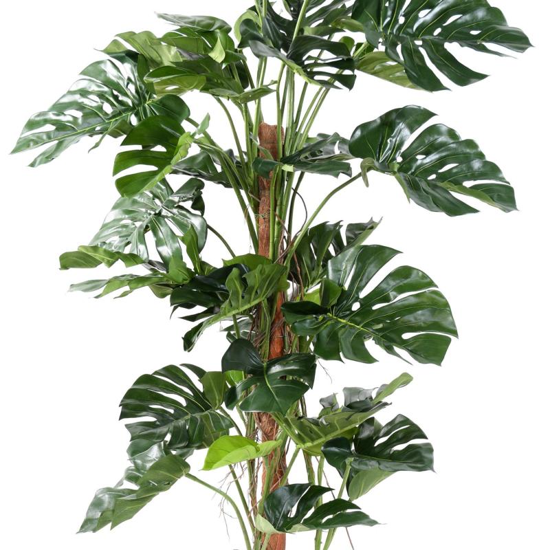 Philodendron Artificiel Tuteur Coco NEW