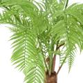 Dicksonia Artificielle (fougere)