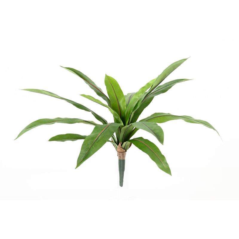 Asplenium Artificiel *15