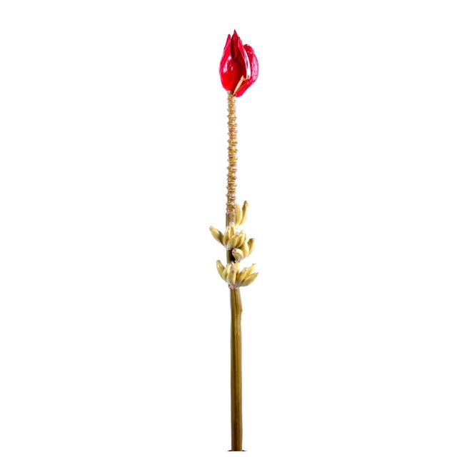 Banane Artificielle Regime Fleur