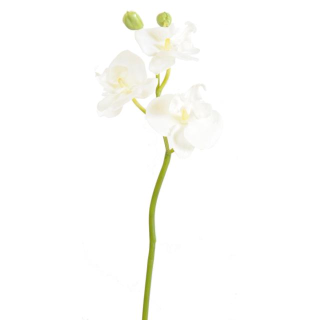 Phalaenopsis Artificielle Mini Orchid