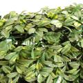 Cornouiller Artificiel Haie NEW