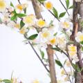 Cerisier Artificiel Fleur