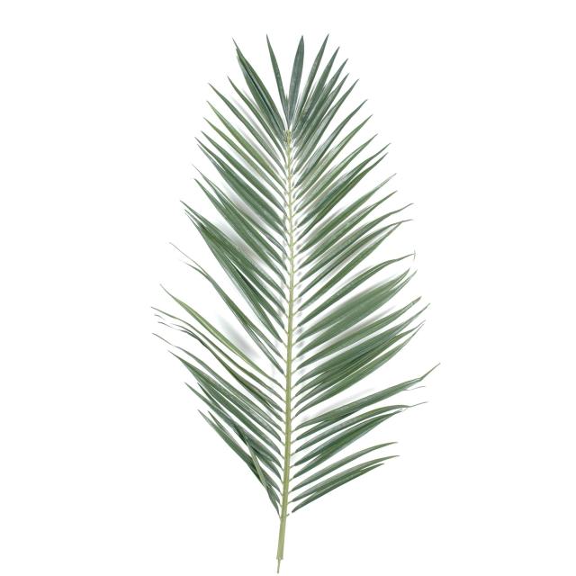Palme Artificielle Palmier Majesty