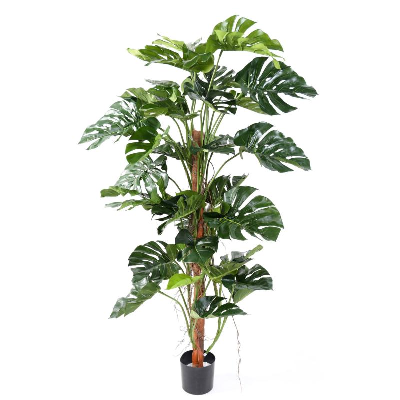 Philodendron Artificiel Tuteur Coco NEW