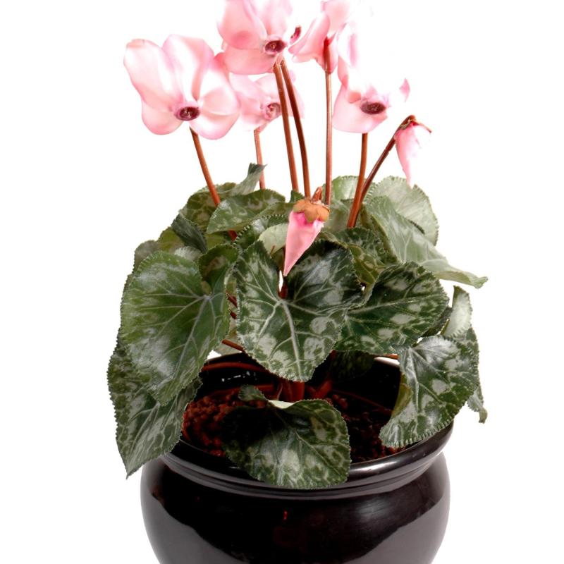 Cyclamen Artificiel *8