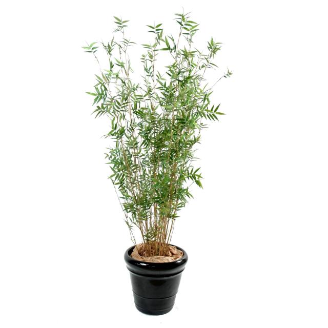 Bambou Artificiel Multitree Oriental
