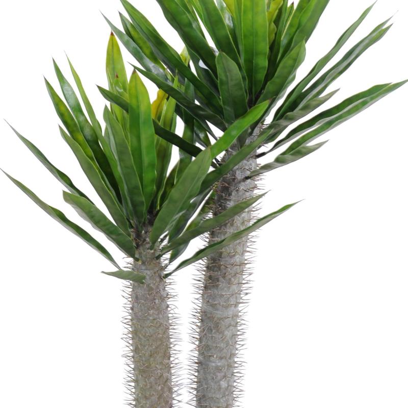 Pachypodium Artificiel PLAST