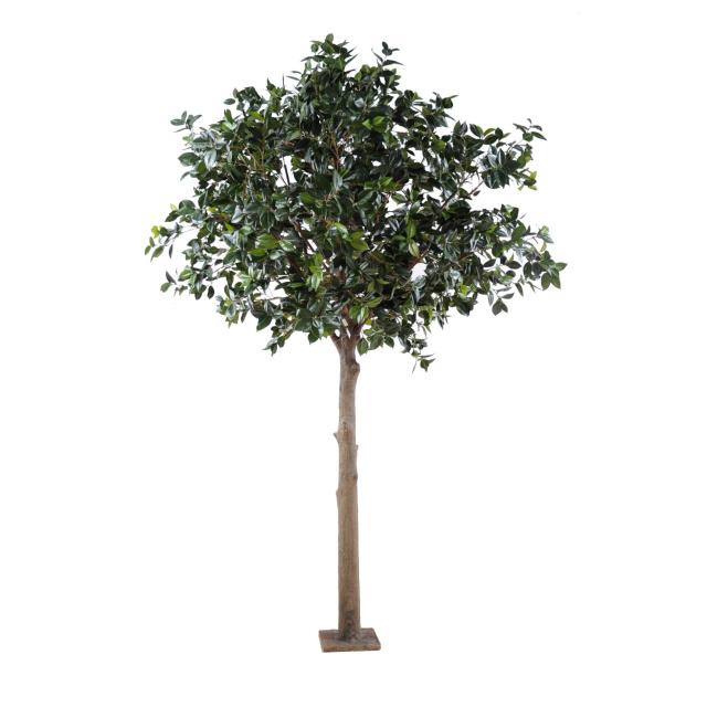 Fruitier Artificiel Camelia Japonica