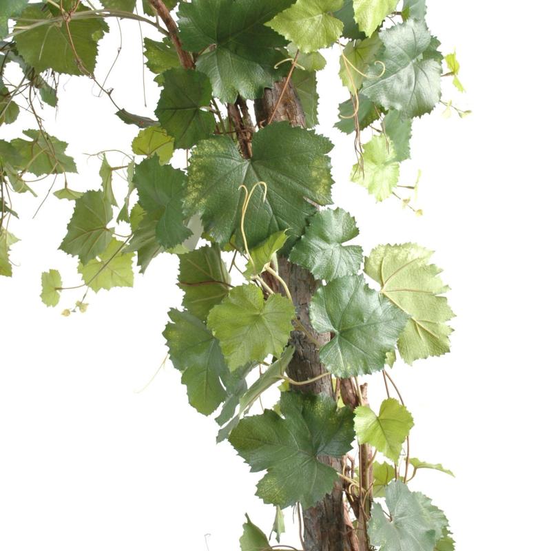 Vigne Artificielle Round