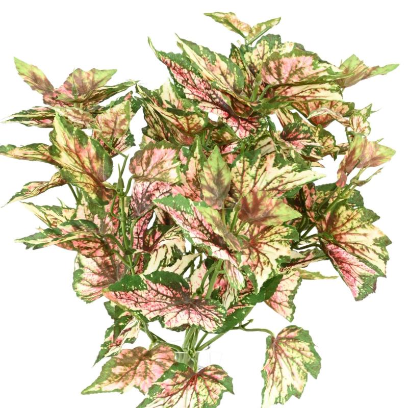 Begonia Artificiel Rex