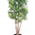 Aralia Artificiel Ming Nitida