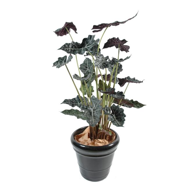 Alocasia Artificiel