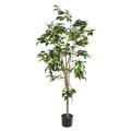 Ficus Artificiel