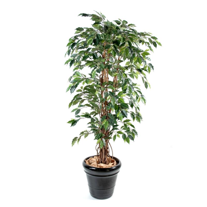 Ficus Artificiel Lianes GF