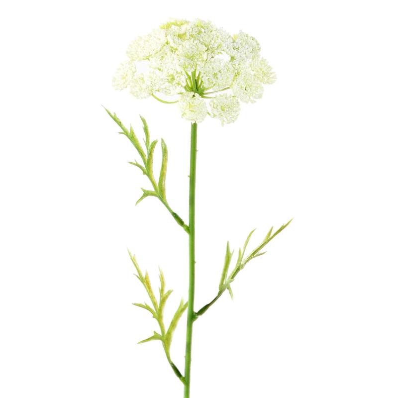Daucus Artificiel