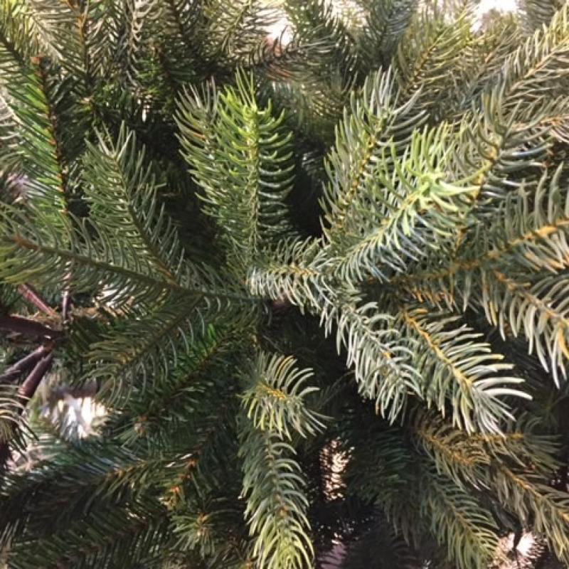 Sapin Artificiel Grandis