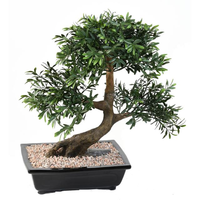 Bonsai Artificiel Black Willow en Coupe