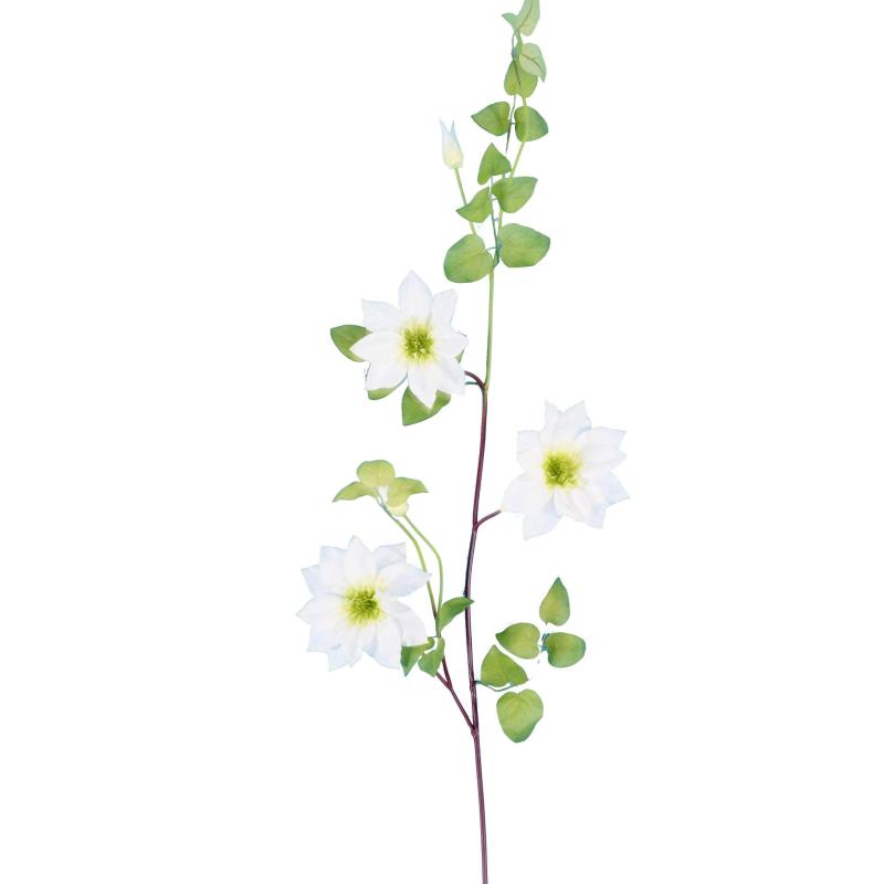 Clematite Artificielle 107