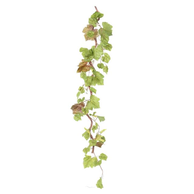 Vigne Artificielle Branche