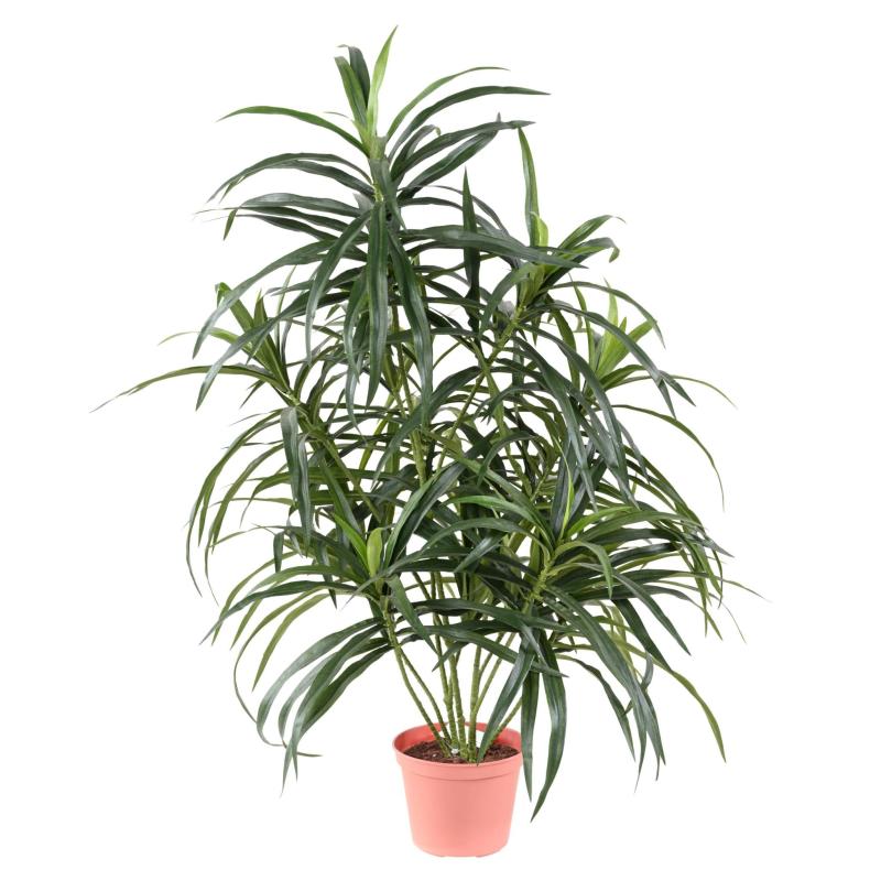 Dracaena Artificiel Anita Pot