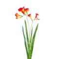 Freesia Artificiel L