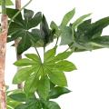 Fatsia Artificiel Japonica TREE