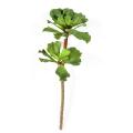 Succulente Artificielle * 2