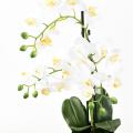 Phalaenopsis Artificielle Pot*3
