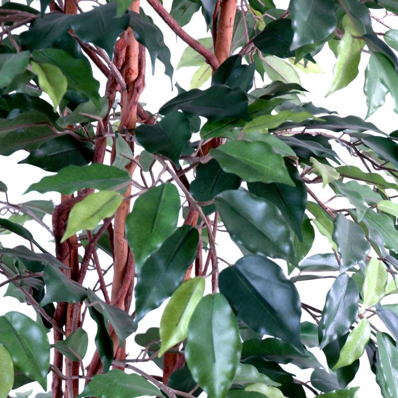 Ficus Artificiel Lianes GF
