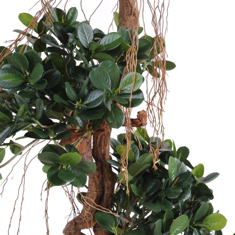 Ficus Artificiel Panda NEW