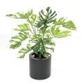 Philo Artificiel Geant *13 75cm