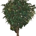 Ficus Artificiel Giant TREE