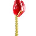 Banane Artificielle Regime Fleur
