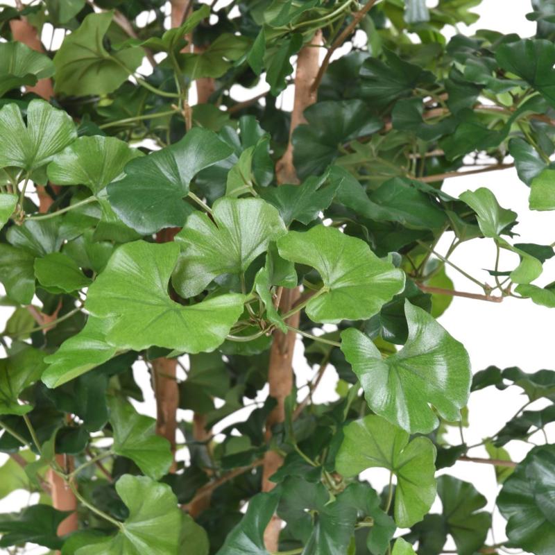 Ginkgobiloba Artificiel Root