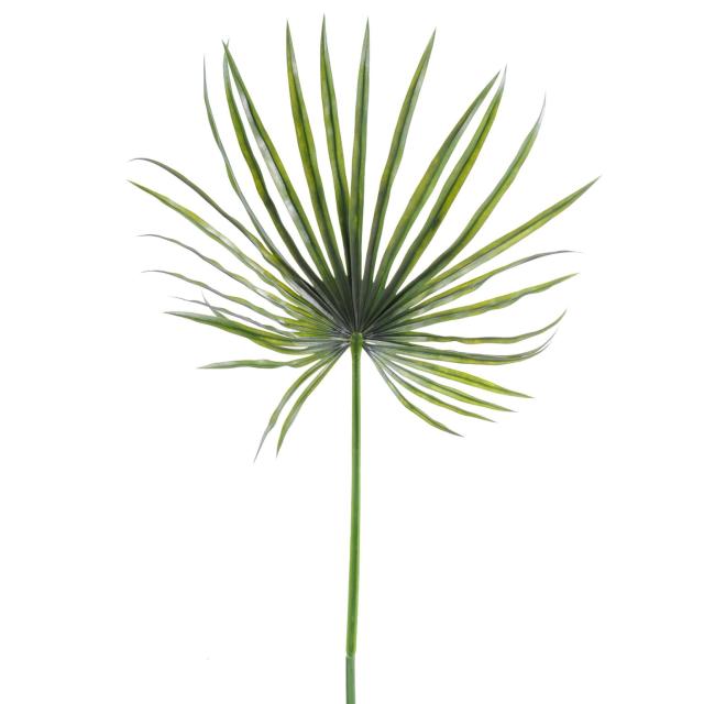 Camerus Artificiel Palm PLAST