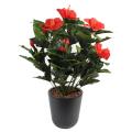 Hibiscus Artificiel Piquet